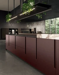 cuisine contemporaine avec un grand îlot central bordeaux mat et des plans de travail en marbre noir et blanc. Un luminaire linéaire suspendu avec des plantes vertes est au-dessus.